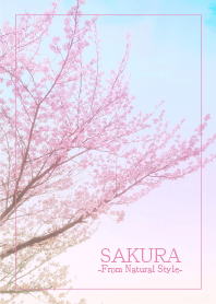 SAKURA 5 / Natural Style