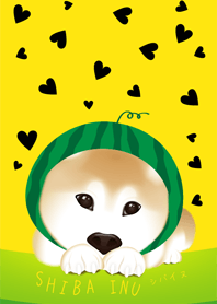 SHIBA INU(WATERMELON ver.)