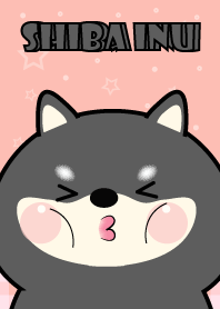 Very Cute Black Shiba Inu  Theme