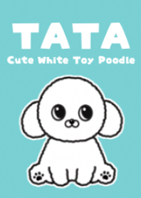 TATA-Cute White Toy Poodle-