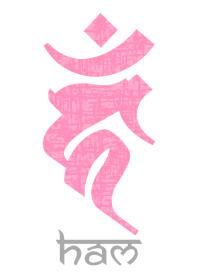 BONJI [haM] WHITE PINK (0277
