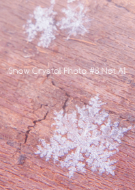 Snow Crystal Photo #8-15Not AI