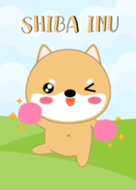 So Cute Shiba Inu Dog Theme