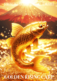 Golden Rising Carp Lucky 24