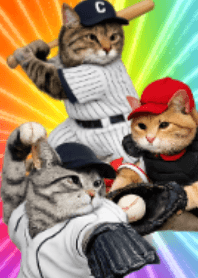 Colorful baseball cat!!!!