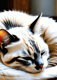 Bright Moon and Dawn 66Be12