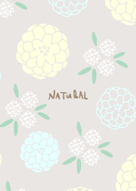 Many round flowers9 from Japan