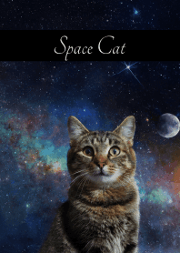 Space Cat2 on black