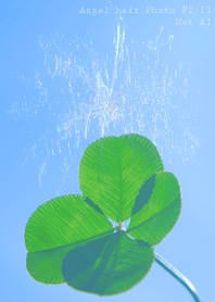 ケサランパサラン Photo #2-11 Not AI