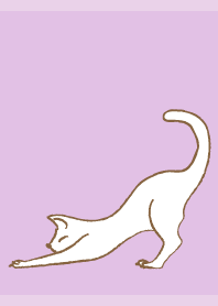 Stretching cat on light purple