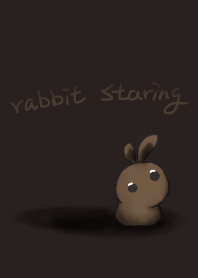 rabbit staring - a sense