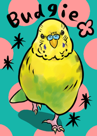 Theme of budgie