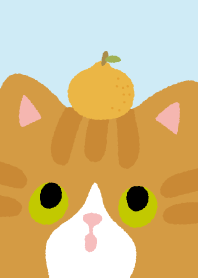 Lucky Orange Cats_blue