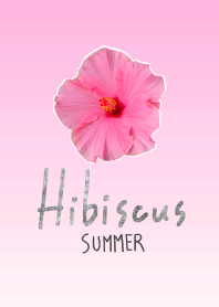 Hibiscus Theme