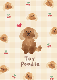I love fluffy toy poodle9.