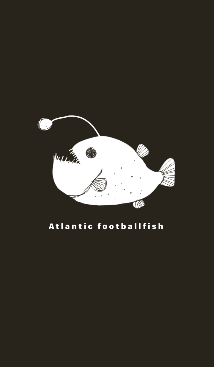 Footballfish