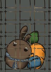 rabbit staring - work