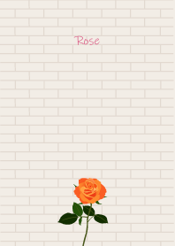 July's birth flower,Rose
