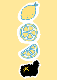 Owl Black Cat - Sweet Lemon