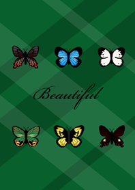 可愛くて魅力的な蝶！（森緑）