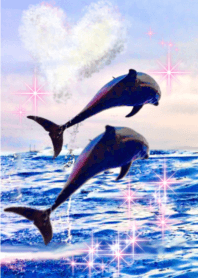 lucky dolphins !