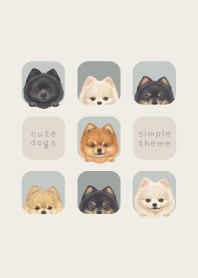 DOGS - Pomeranian - SKY GRAY