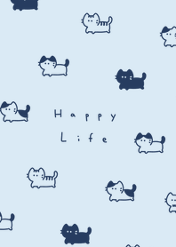 .แมว. aqua navy