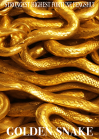 Golden Snake Lucky 05