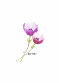 アネモネの花が咲いて・シンプルブーケ