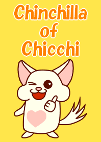 Chinchilla of Chicchi