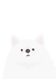 white dogs white