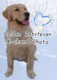 Golden Retriever K-chan.Photo.Blue sky.