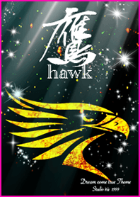 Hawk2