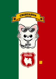 Chihuahua cream.