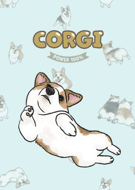 corgicorgi8 - pale green