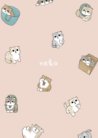 neko combo5 - sea shell