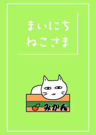 まいにち、ねこさま