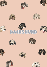 dachshund4 / peach