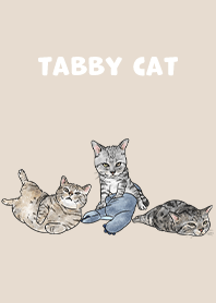 tabbycat5 / almond