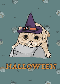 meow's halloween - dark cadet blue