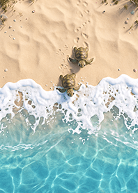 The sandy beach and the two of us 2