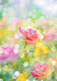 Beautiful rose flower(R1546)