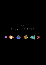 小さな熱帯魚。黒