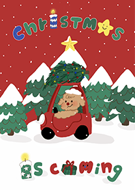 poodle santa is coming to town.