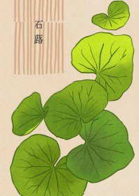 Japanese silver leaf