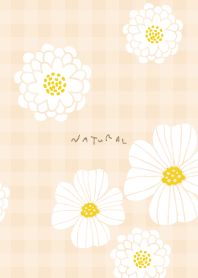 White flower cute15 from Japan