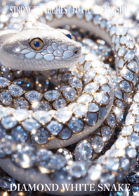 Diamond and white snake 31