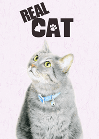 REAL CAT!