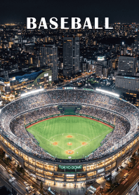 Theme of base ball10
