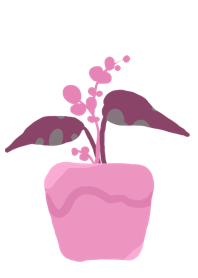 Pink plants